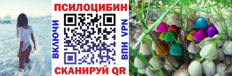 Галлюциногенные грибы прущие грибы  shop наркотические препараты  Лодейное Поле 